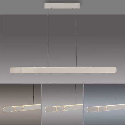 Schöner Wohnen 12577-39 - LED stmievateľný luster na lane ADRIANA ROUND 2xLED/24W/230V 2700/3000/3500/4000/5000K sivá