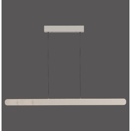 Schöner Wohnen 12577-39 - LED stmievateľný luster na lane ADRIANA ROUND 2xLED/24W/230V 2700/3000/3500/4000/5000K sivá