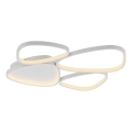 Schöner Wohnen 14038-16 - stmievateľné LED stropné svietidlo PEBBLES LED/35,5W/230V biela