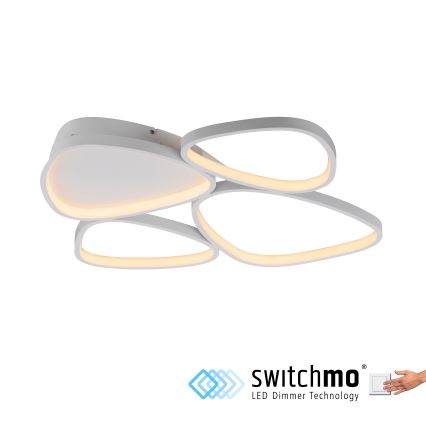 Schöner Wohnen 14038-16 - stmievateľné LED stropné svietidlo PEBBLES LED/35,5W/230V biela