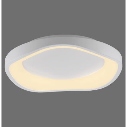 Schöner Wohnen 14233-16 - LED stmievateľné stropné svietidlo MONTA LED/21W/230V pr. 40 cm biela