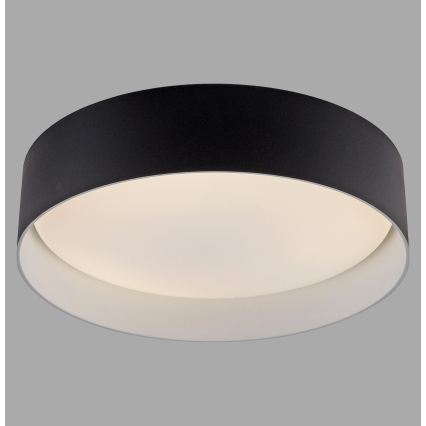 Schöner Wohnen 14593-18 - LED stmievateľné stropné svietidlo TAVOLI LED/10W/230V 2700-6500K pr. 28,5 cm čierna + diaľkové ovládanie