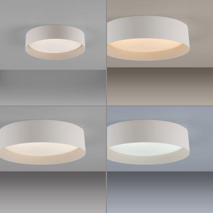 Schöner Wohnen 14593-39 - Stmievateľné LED stropné svietidlo TAVOLI LED/10W/230V 2700-6500K priemer 28,5 cm sivá + diaľkové ovládanie