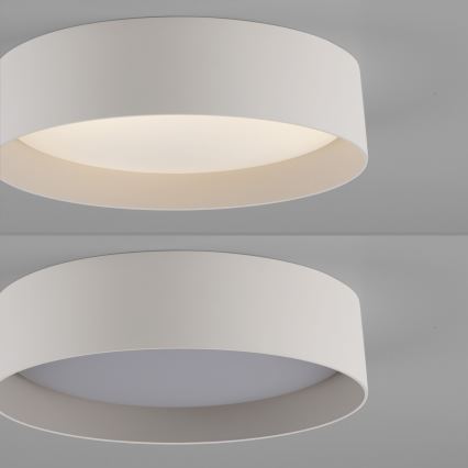 Schöner Wohnen 14593-39 - Stmievateľné LED stropné svietidlo TAVOLI LED/10W/230V 2700-6500K priemer 28,5 cm sivá + diaľkové ovládanie