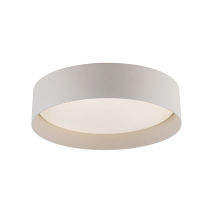 Schöner Wohnen 14593-39 - Stmievateľné LED stropné svietidlo TAVOLI LED/10W/230V 2700-6500K priemer 28,5 cm sivá + diaľkové ovládanie