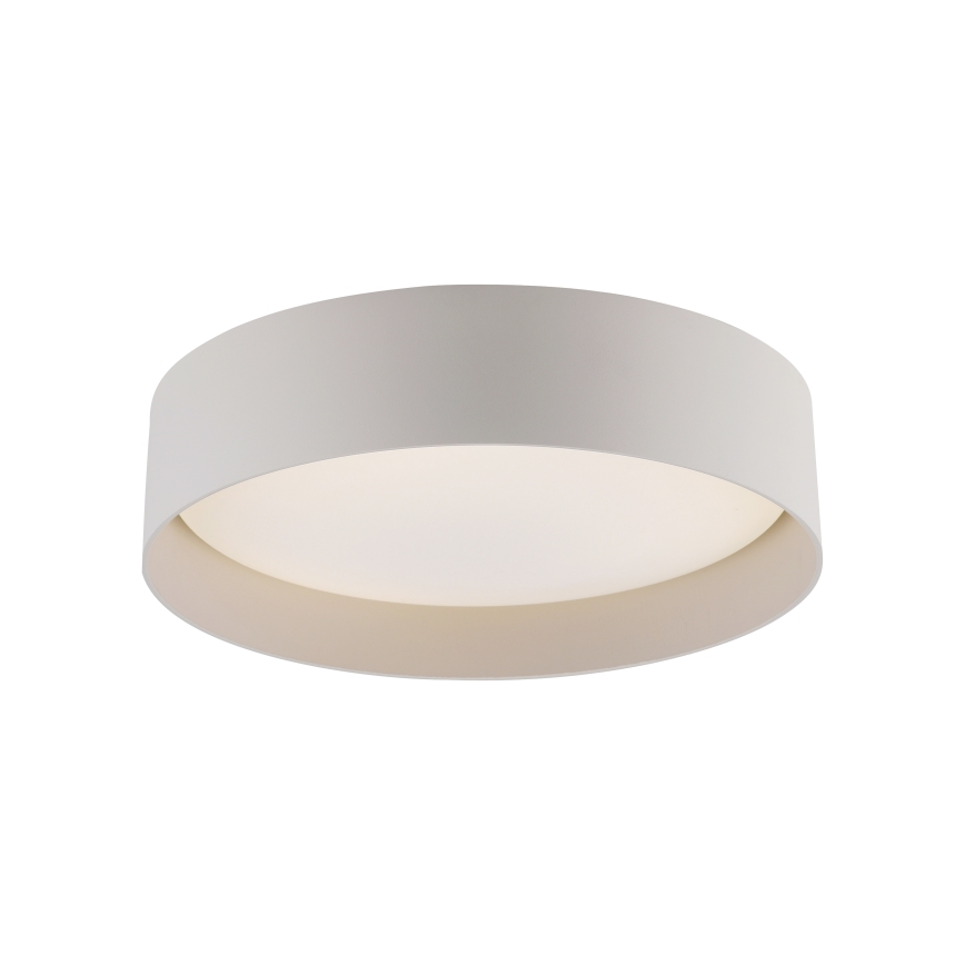 Schöner Wohnen 14593-39 - Stmievateľné LED stropné svietidlo TAVOLI LED/10W/230V 2700-6500K priemer 28,5 cm sivá + diaľkové ovládanie