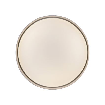 Schöner Wohnen 14593-39 - Stmievateľné LED stropné svietidlo TAVOLI LED/10W/230V 2700-6500K priemer 28,5 cm sivá + diaľkové ovládanie