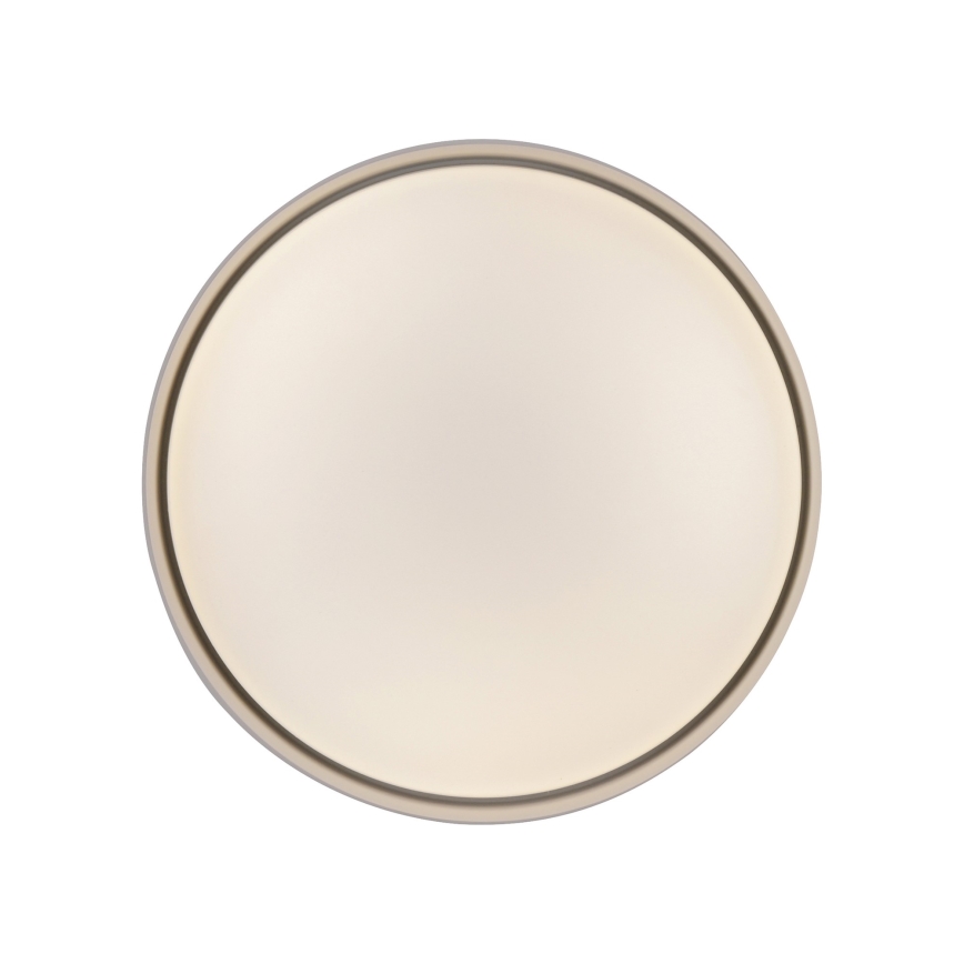 Schöner Wohnen 14593-39 - Stmievateľné LED stropné svietidlo TAVOLI LED/10W/230V 2700-6500K priemer 28,5 cm sivá + diaľkové ovládanie