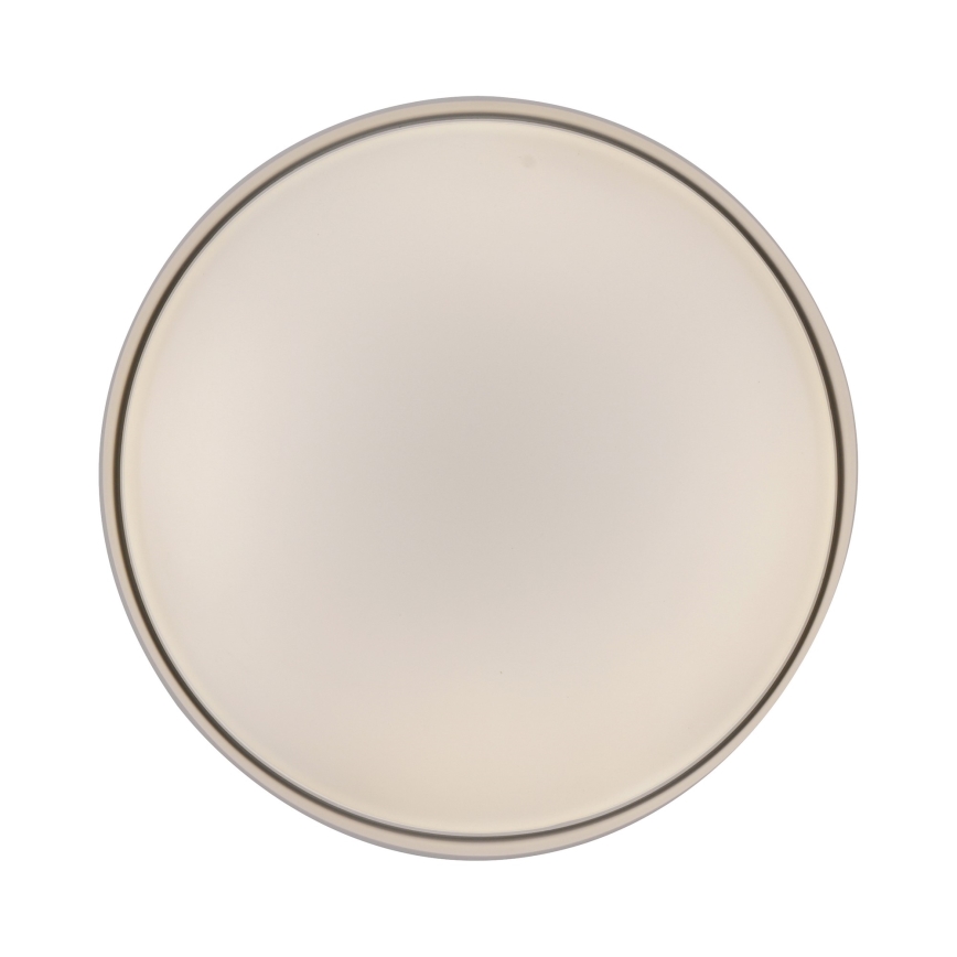 Schöner Wohnen 14594-39 - LED stmievateľné stropné svietidlo TAVOLI LED/20W/230V 2700-6500K pr. 39 cm sivá + diaľkové ovládanie