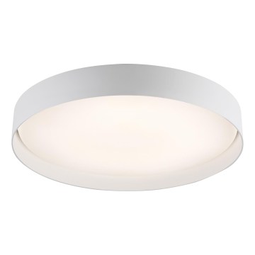 Schöner Wohnen 14595-16 - LED stmievateľné stropné svietidlo TAVOLI LED/34W/230V 2700-6500K pr. 49 cm biela + diaľkové ovládanie