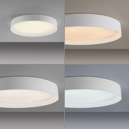 Schöner Wohnen 14595-16 - LED stmievateľné stropné svietidlo TAVOLI LED/34W/230V 2700-6500K pr. 49 cm biela + diaľkové ovládanie