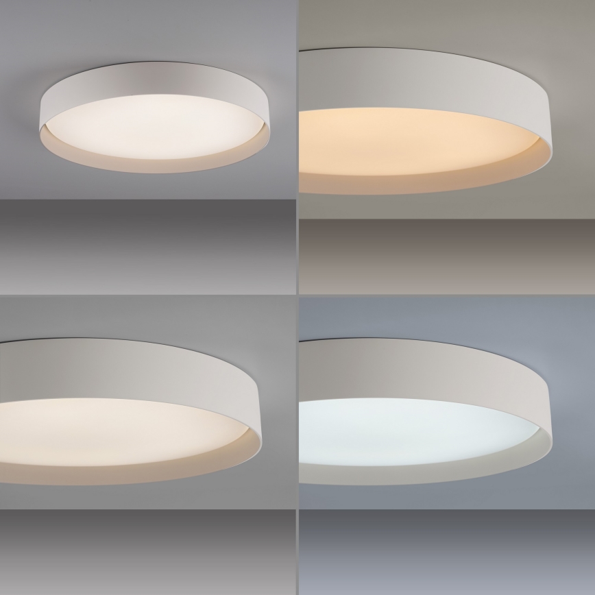 Schöner Wohnen 14595-39 - LED stmievateľné stropné svietidlo TAVOLI LED/34W/230V 2700-6500K priemer 49 cm sivá + diaľkové ovládanie