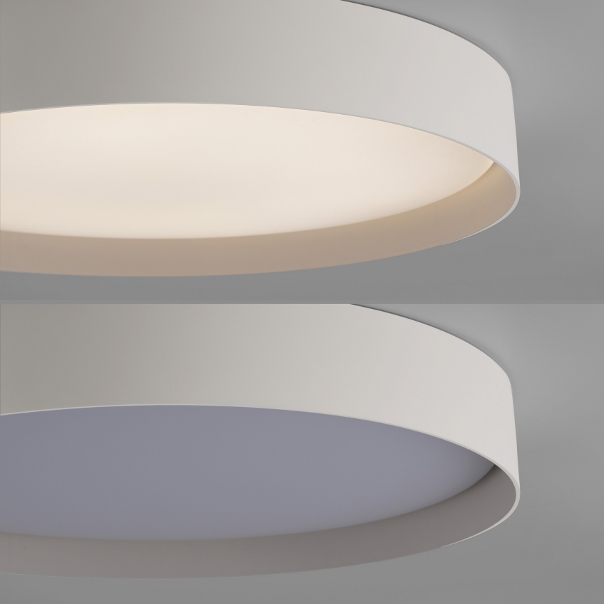 Schöner Wohnen 14595-39 - LED stmievateľné stropné svietidlo TAVOLI LED/34W/230V 2700-6500K priemer 49 cm sivá + diaľkové ovládanie