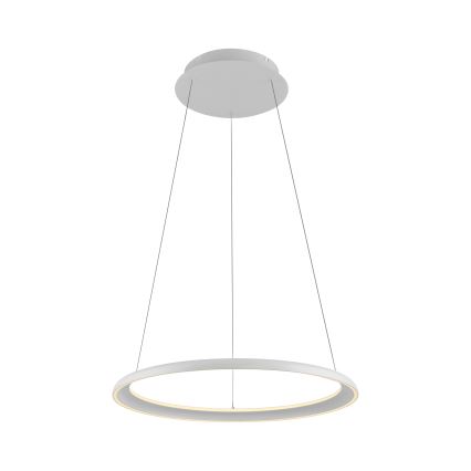 Schöner Wohnen 15570-16 - Stmievateľný LED luster na lankách QUILLO LED/36W/230V, priemer 60 cm, biely