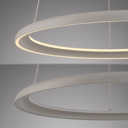 Schöner Wohnen 15570-39 - LED stmievateľný závesný luster na lane QUILLO LED/36W/230V Ø 60 cm sivá