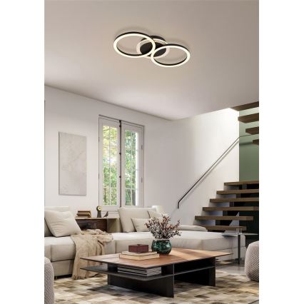 Searchlight - LED stmievateľné stropné svietidlo CONTOUR LED/24W/230V 3000K