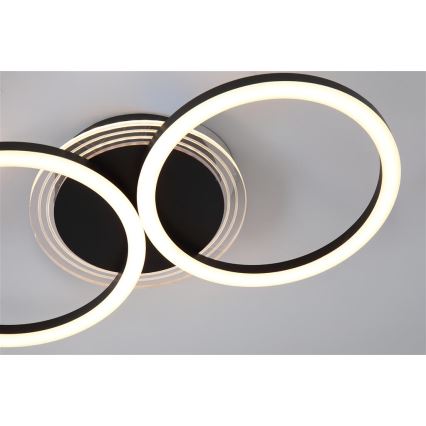 Searchlight - LED stmievateľné stropné svietidlo CONTOUR LED/24W/230V 3000K