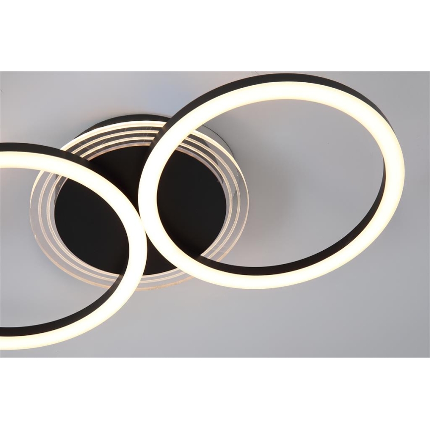 Searchlight - LED stmievateľné stropné svietidlo CONTOUR LED/24W/230V 3000K