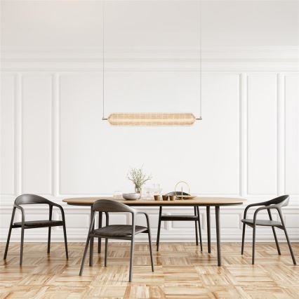 Searchlight - LED závesný luster na lanku CAPSULE LED/42,5W/230V