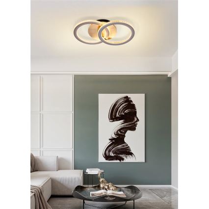 Searchlight - LED Stmievateľné stropné svietidlo SPECS LED/24W/230V 3000K 25x42,5 cm