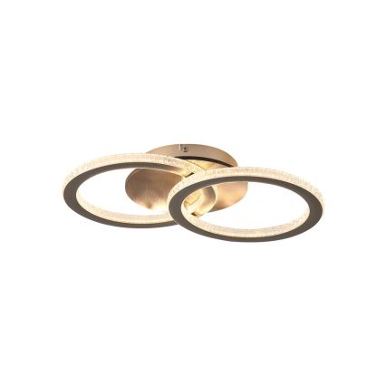 Searchlight - LED Stmievateľné stropné svietidlo SPECS LED/24W/230V 3000K 25x42,5 cm