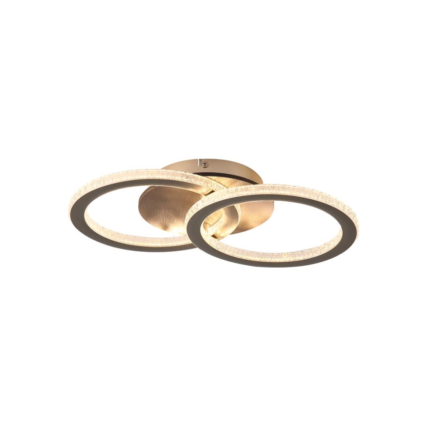 Searchlight - LED Stmievateľné stropné svietidlo SPECS LED/24W/230V 3000K 25x42,5 cm