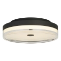 Searchlight - LED Stropné svietidlo CYPRUS LED/29W/230V pr. 40 cm čierna