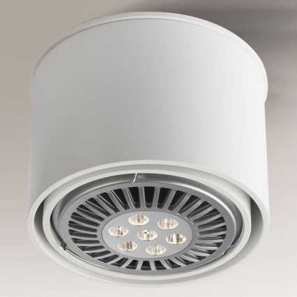Shilo - Bodové svietidlo 1xGU10/15W/230V biela