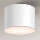 Shilo - Kúpeľňové stropné svietidlo 1xGX53/15W/230V IP44 biela