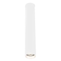 Shilo - Kúpeľňové stropné svietidlo 1xGU10-MR11/15W/230V IP44 biela