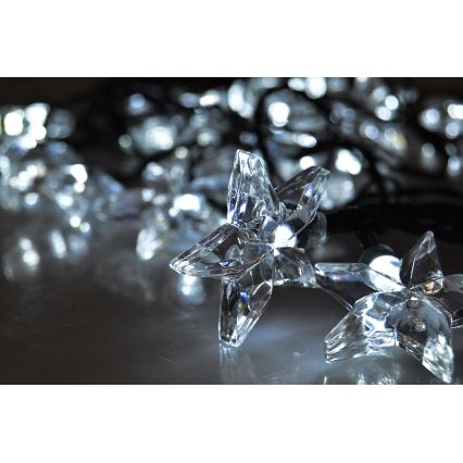 LED Vianočná reťaz 3m 20xLED/230V