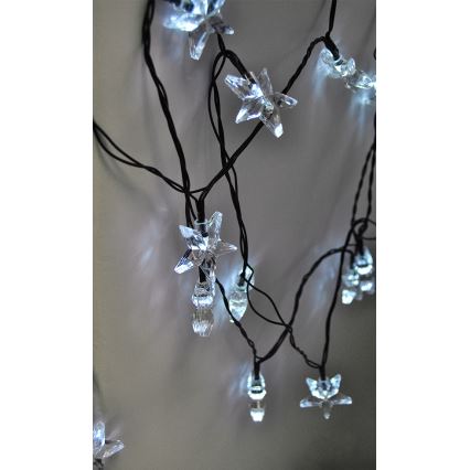 LED Vianočná reťaz 3m 20xLED/230V