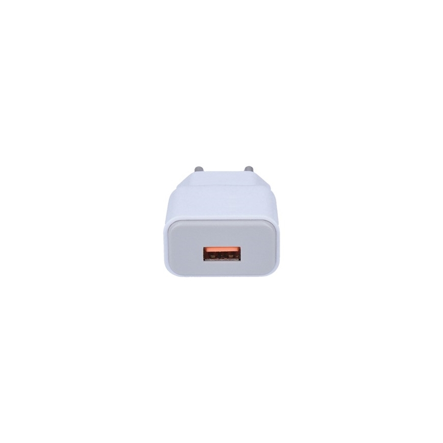 USB Nabíjací adaptér 1xUSB/230V
