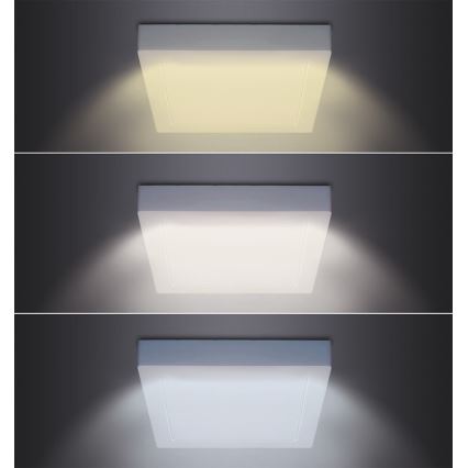 LED stropné svietidlo LED/12W/230V 3000/4000/6000K 17x17 cm biele