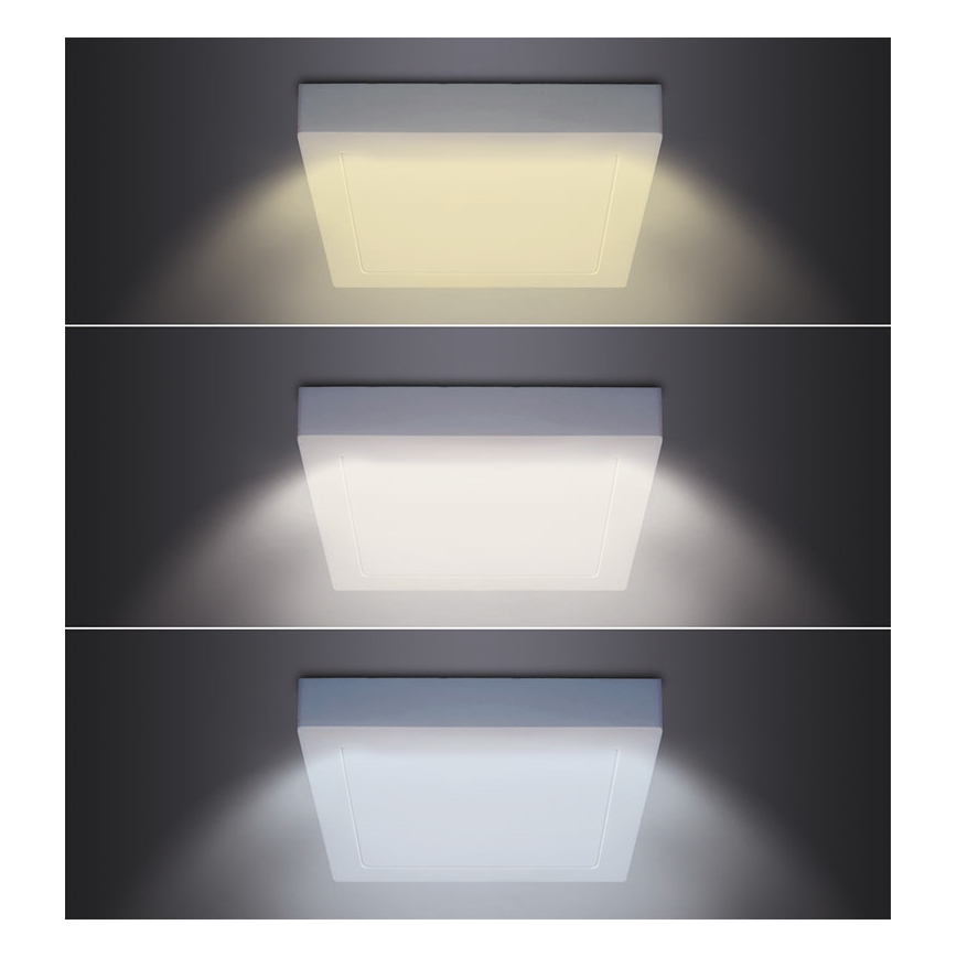 LED stropné svietidlo LED/12W/230V 3000/4000/6000K 17x17 cm biele
