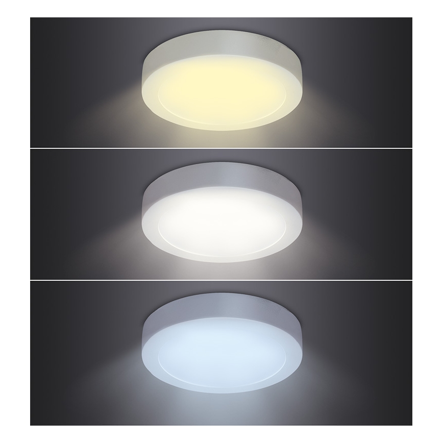 LED stropné svietidlo LED/18W/230V 3000/4000/6000K pr. 22,5 cm biele