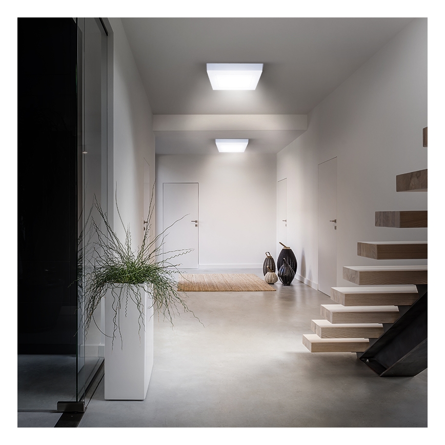 LED Stropné svietidlo LED/18W/230V 3000/4000/6000K 22,5x22,5 cm biela