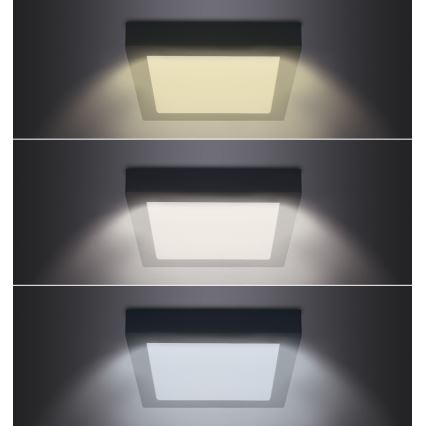 LED Stropné svietidlo LED/24W/230V 3000/4000/6000K čierna hranatý