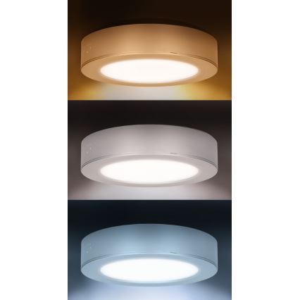LED panel 2v1 – prisadený/zapustený, 12 W, 230 V, nastaviteľná teplota svetla 3000/4000/6000 K, priemer 17 cm, IP54, biela
