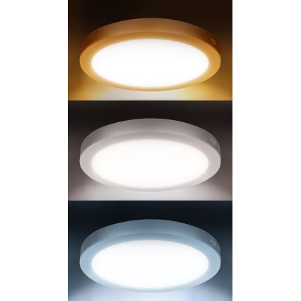 LED prisadený/podhľadový panel 2v1 18W/230V 3000/4000/6000K pr. 22,5 cm IP54 strieborný