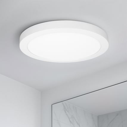 LED prisadený/podhľadový panel 2 v 1 24 W/230 V 3000/4000/6000 K pr. 30 cm IP54 biela