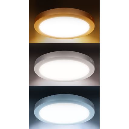 LED prisadený/podhľadový panel 2 v 1 24 W/230 V 3000/4000/6000 K pr. 30 cm IP54 biela