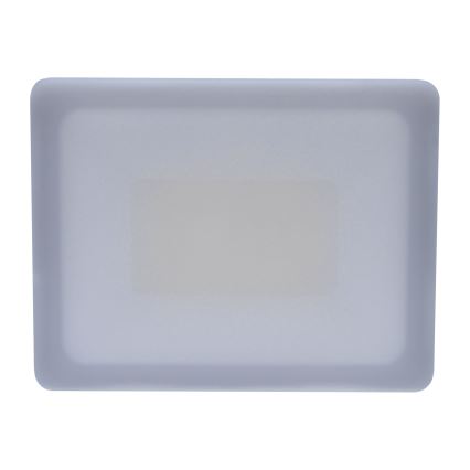 LED Vonkajší reflektor LED/30W/230V 4000K IP65