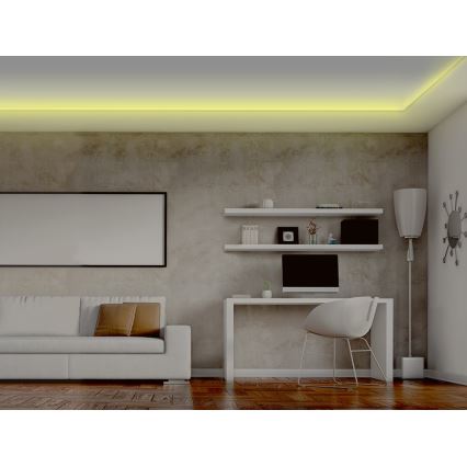 LED RGB Stmievateľný pásik  LED/20W/230V 5m IP65 Tuya + DO