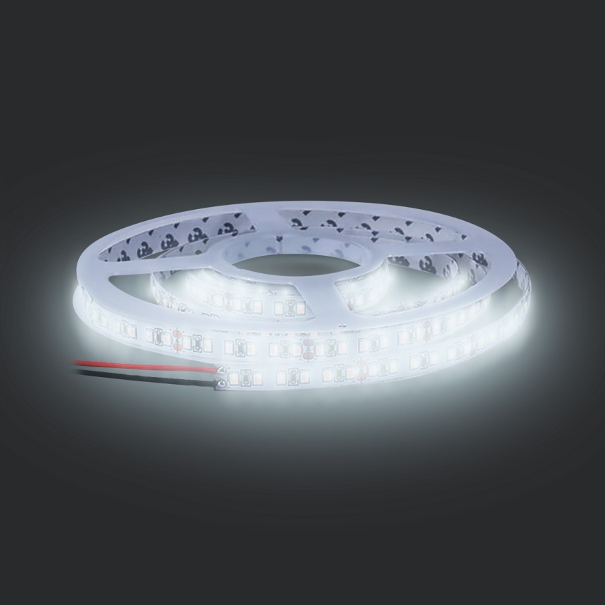 LED Pásik LED/50W/12V 5m studená biela