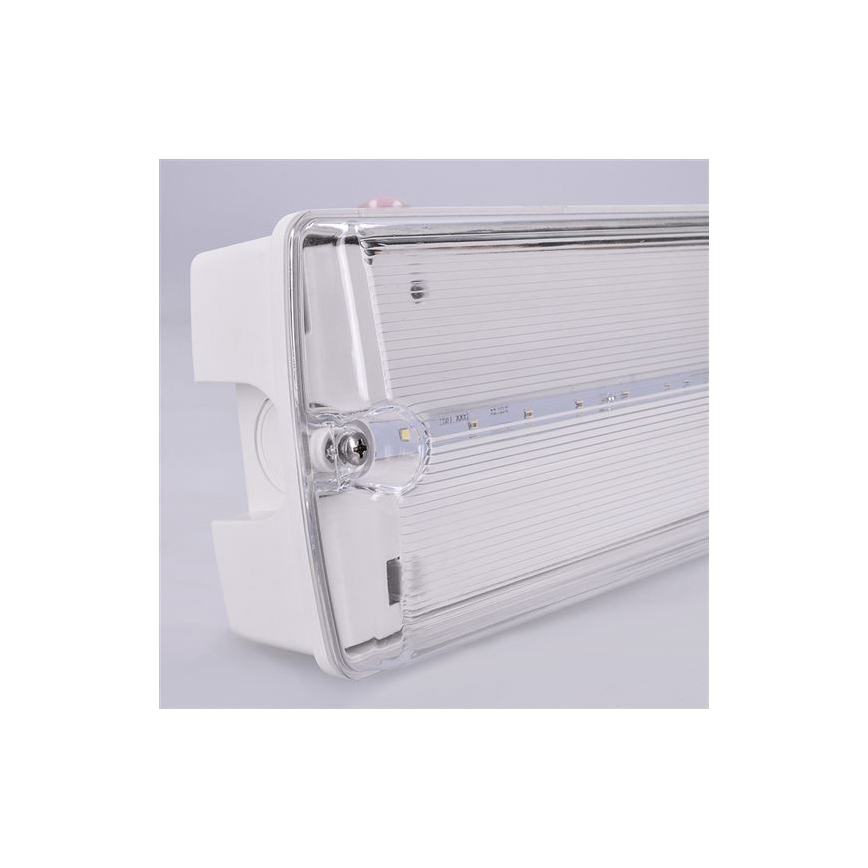 LED Núdzové svietidlo LED/6W/230V IP65 6500K