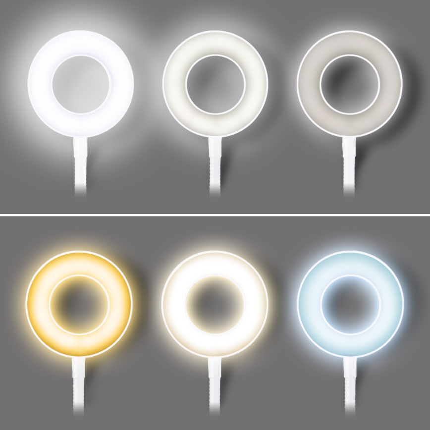 LED Stlmiteľná stolová lampa s klipom LED/8W/230V 3000/4000/5000K biela