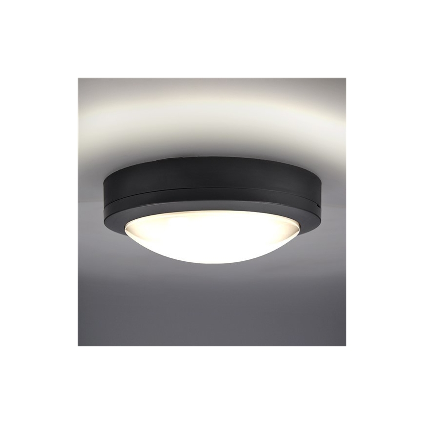 LED Vonkajšie stropné svietidlo LED/13W/230V IP54 antracit