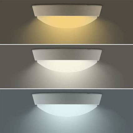 LED vonkajšie nástenné svietidlo 2 v 1, LED/20W/230V, 3000/4000/6500K (prepínateľné), IP65, priemer 22 cm