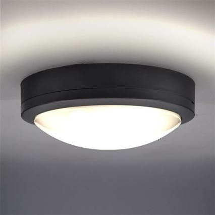 LED Vonkajšie stropné svietidlo SIENA LED/20W/230V IP54 pr. 23 cm antracit